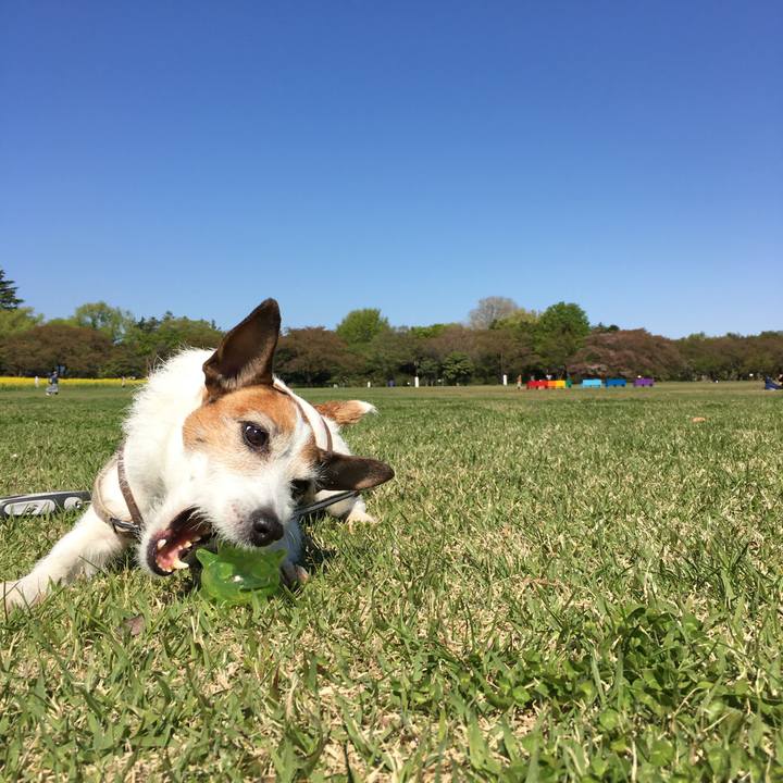 62310964 8ac4 4763 be44 c9f448be9d8c 1618067287173