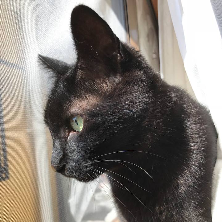 62310b83 e2c3 41f7 bd04 99387a1fa98c 1524877101588