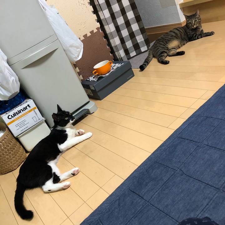 62312c13 b32a 4658 9bcf 492ddce06367 1531429094210