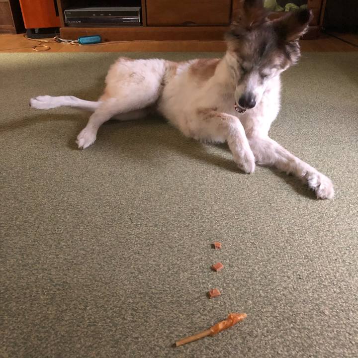 62314734 d752 4a2d 8611 edbbe45ef815 1535443312967