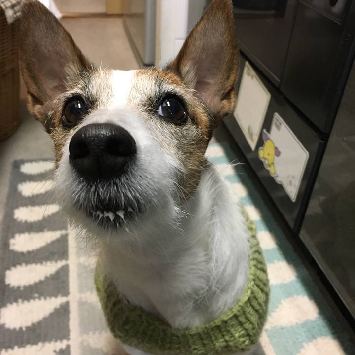 62319d19 c888 42c1 81ef d10edaf6e041 1584488015939