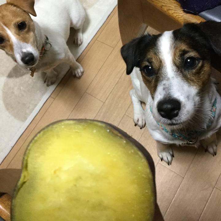 6231b4df 8c36 4e5b aed4 369d39b25d6a 1510112477858