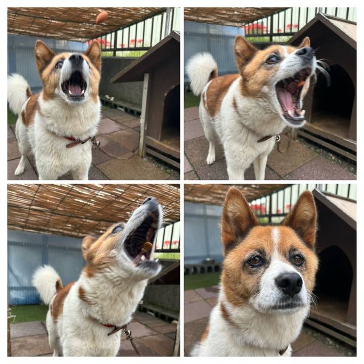 6231d867 a3f6 4ef2 9cfb 4d0ccf92b9bb 1759270185672