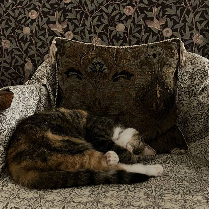 62320255 183b 4e85 ba24 16a4c79c70b0 1759411434213