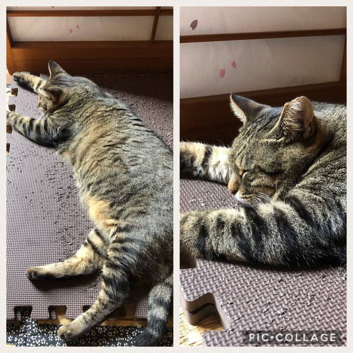 62320d0b 1c23 44bb b71c 61713a28bfbe 1570018105784