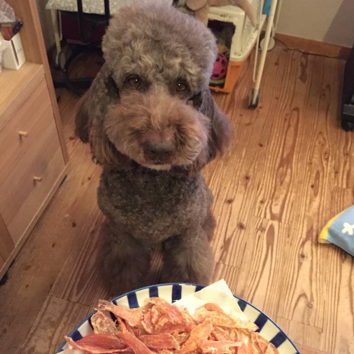 62322841 56d7 4de6 b6a1 616b9e3f2721 1551603636865