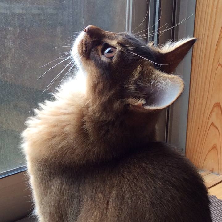 6232612a 7edc 4b3f 9834 d107110a8d84 1574639525062