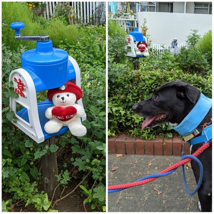 62327f1e b069 427e a1e2 e5fb6c104ce7 1630369638701