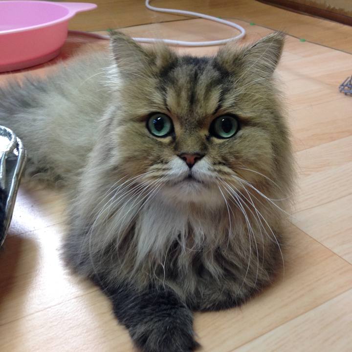 6232a83d bcae 4873 849c d2ea7d09d6e4 1645485479971