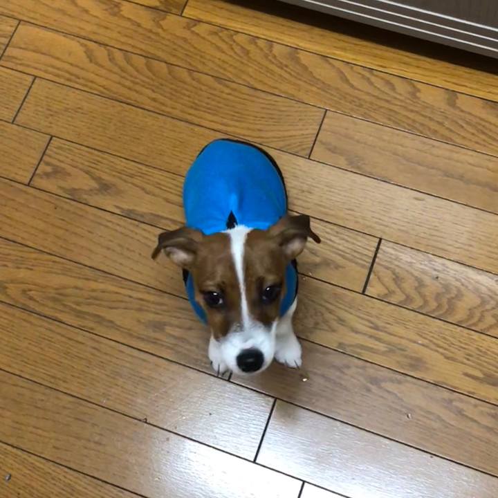 6232f44e c221 4c35 82f3 8f6a6799619f 1515886042489