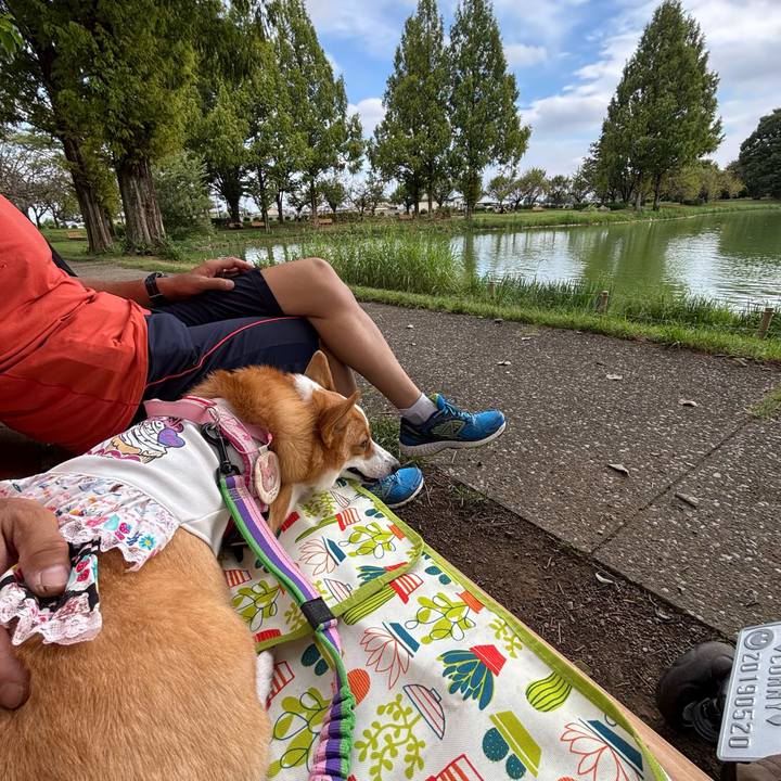 62332419 607e 42b7 a902 08e619b7301e 1759638558175