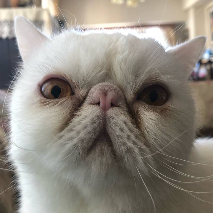 62333650 548d 4285 af78 b8cd9683fa3c 1679227247004