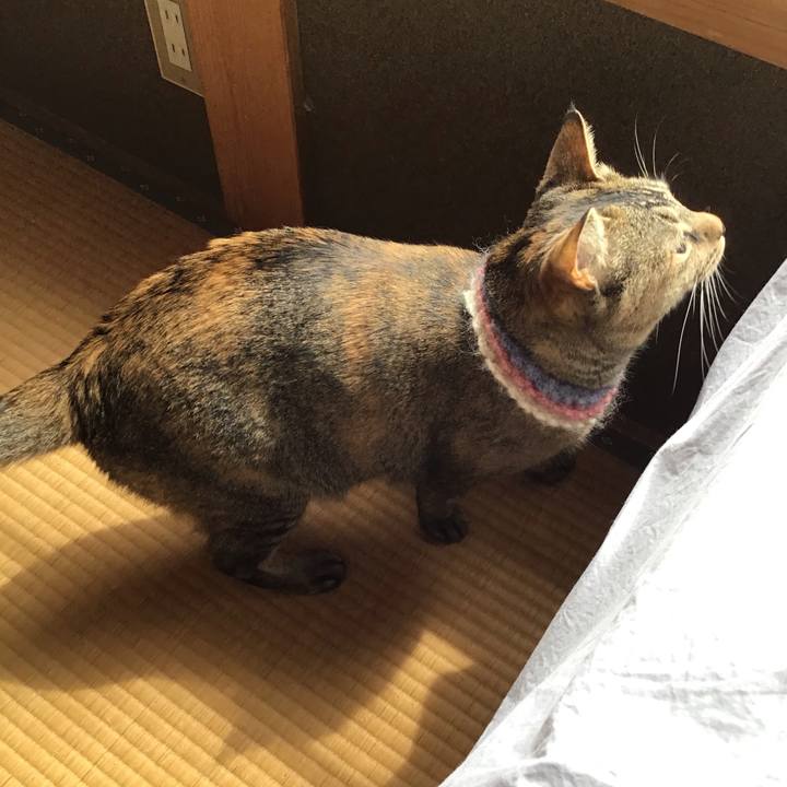 62333979 1471 4c23 beb9 ba6e45823f34 1621644170441