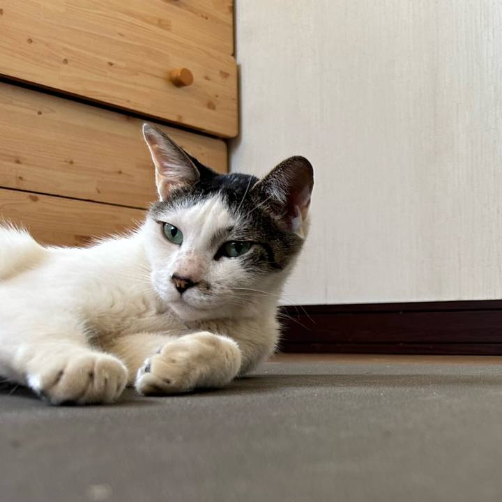 62335412 d6d2 40cf b7fb 4d0e90be24a0 1722389307363