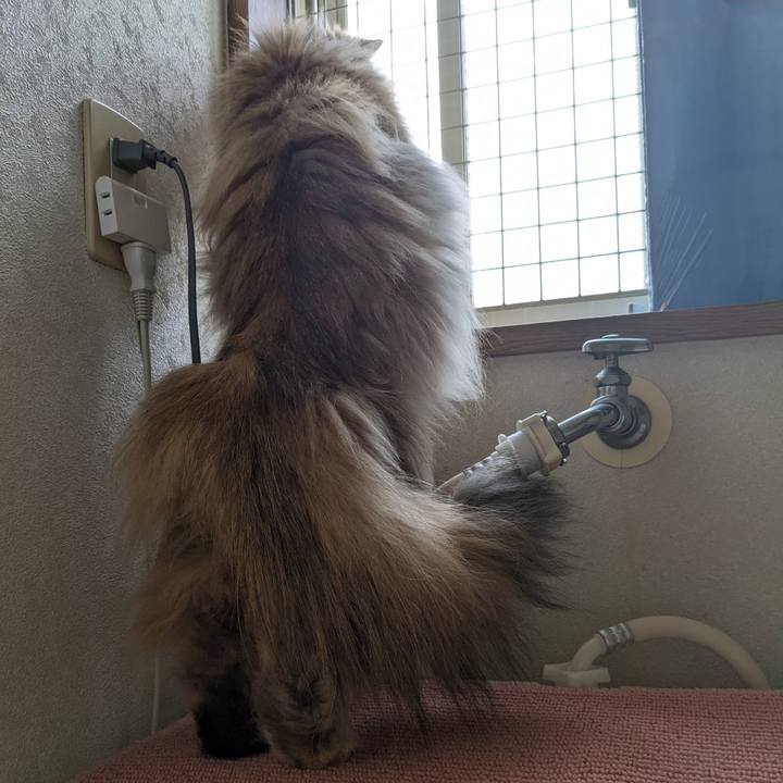 623360ed bf67 42a3 a0da 6d4721594103 1648807980330