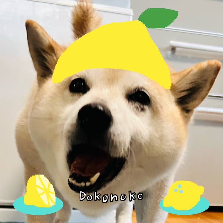 62338ea5 9bd0 4ebb a366 ff9d918fb871 1741056851640