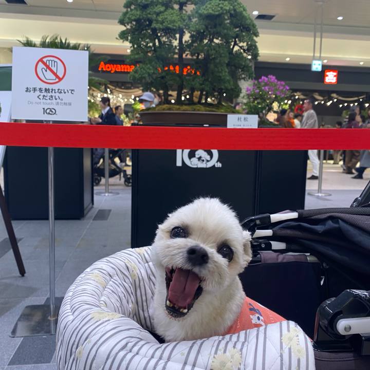 6233eb5c 57a9 4bca 9479 84249bfdb33e 1763250062010