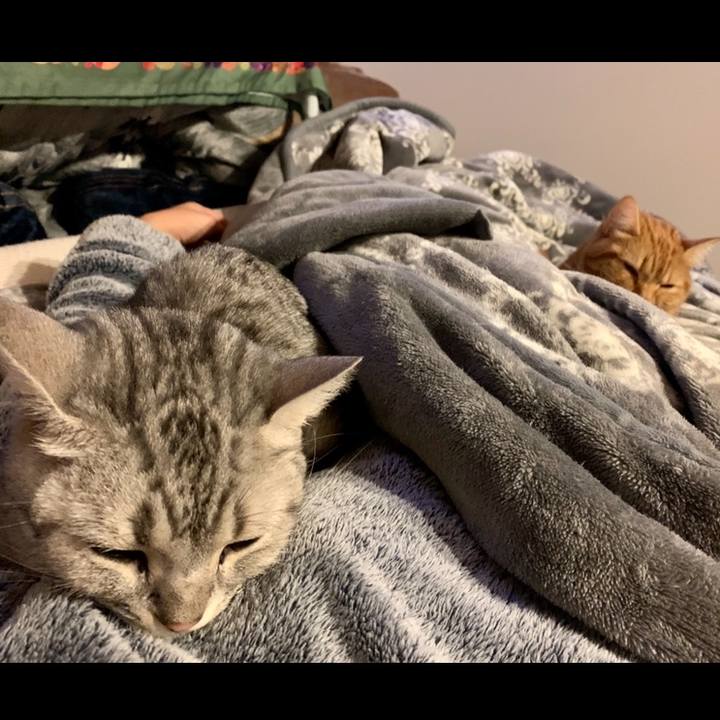 62342f2f 4470 40be 805b d3d4d2b1773e 1576970391011