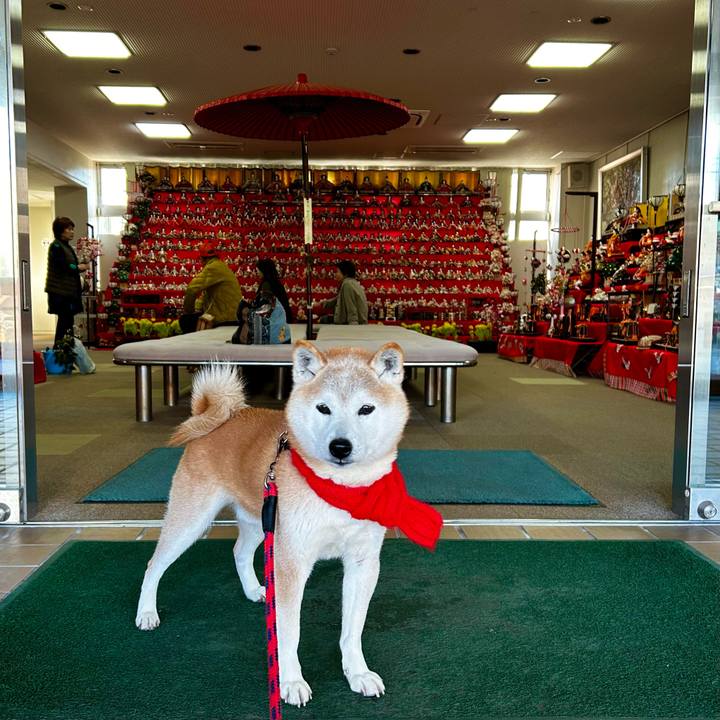 62342f7e ee1d 4e1b b1a0 45534caa869d 1771154186965