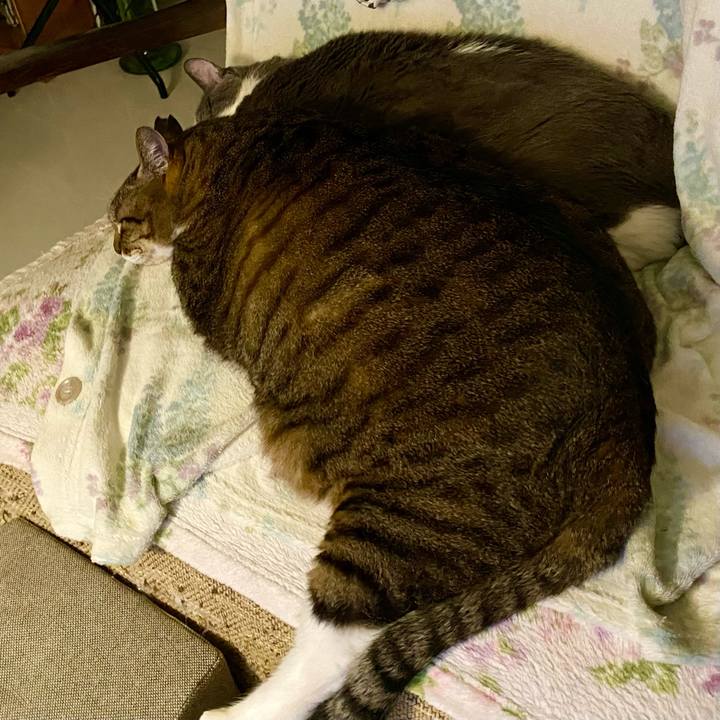 62344946 ceaa 413a 9725 575f2cbe8ec9 1758456820737