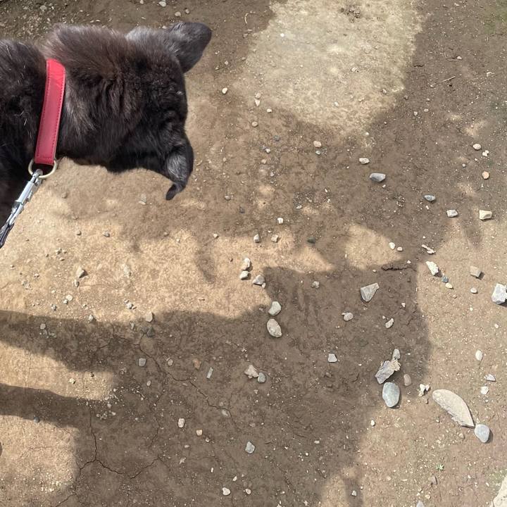 62344b4a cf9d 47b9 b649 636d76063664 1772852797554