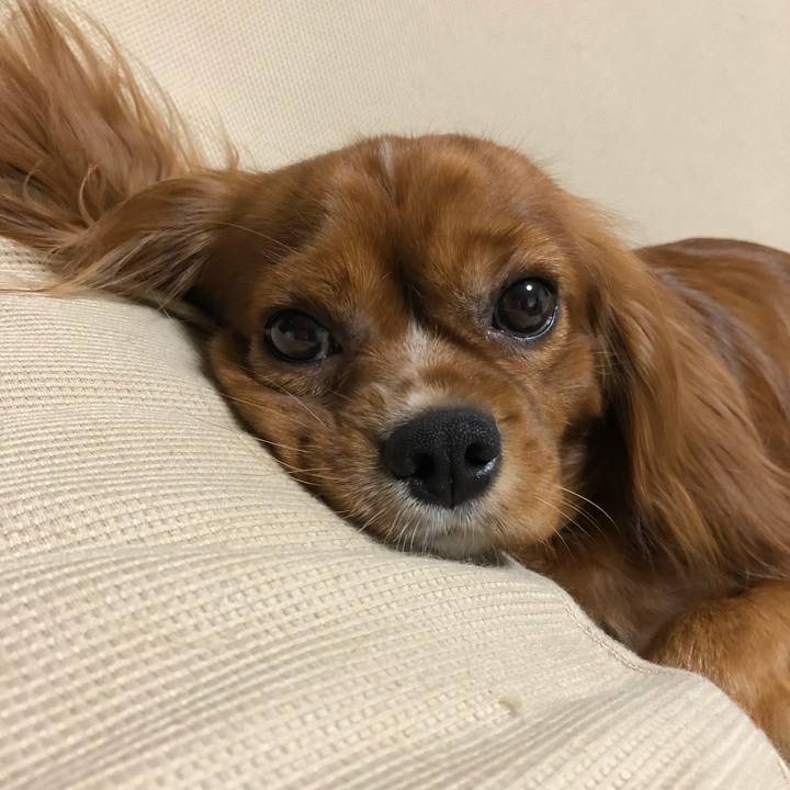 62344bd2 e0eb 4467 b046 3b6d8bcd6032 1538086129620