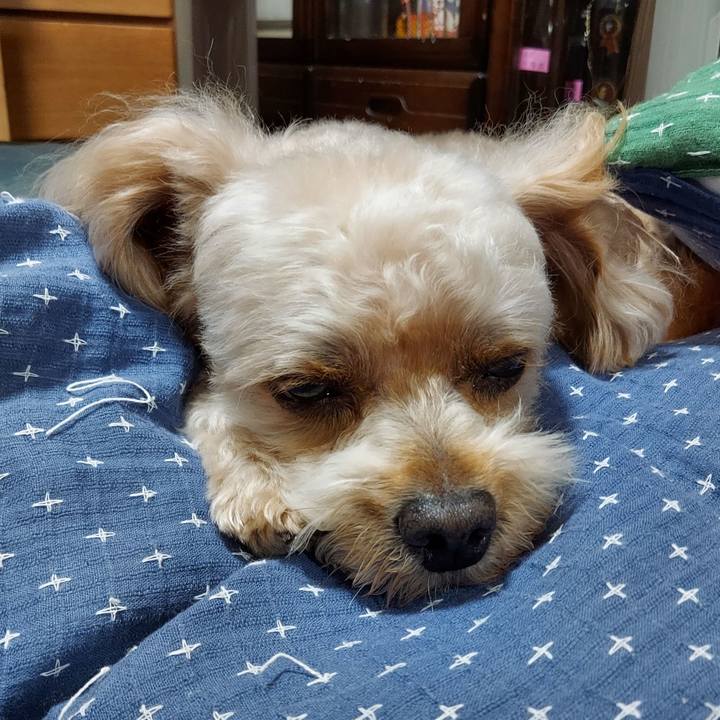 62346b8c 3804 40b8 a45a 5a426b1c4b8f 1627300479790