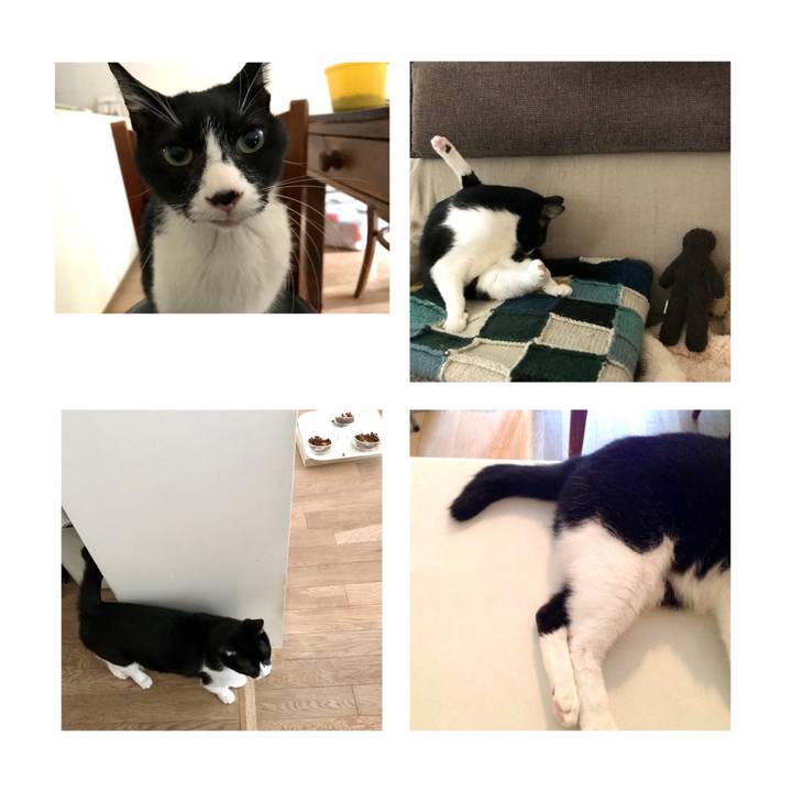 623486f9 825e 4d4e a6c1 572f4b9dd7c3 1638578564868