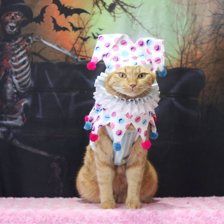 6234a78e 2b18 4de2 b32d f834b3165213 1696216180716