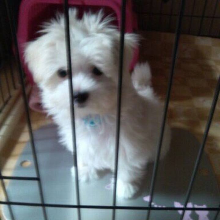 6234db72 559f 41e1 a6bc 5b8b4723dfbb 1535632148391