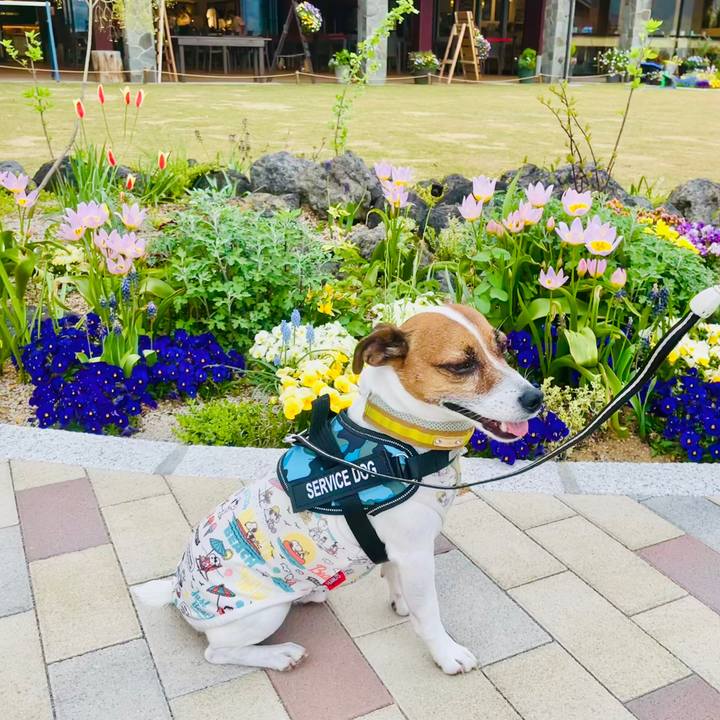 6234ddd7 bc61 44d5 bf93 a3d7aad4f9fe 1740639396681