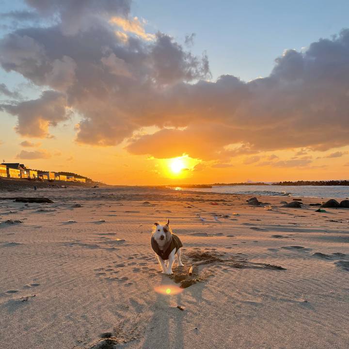 6234e655 b837 4578 80cf afb6c8079125 1612079859615