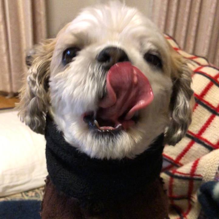 6234e8da d4d8 48aa a97e a7e6bd566d00 1579038795475