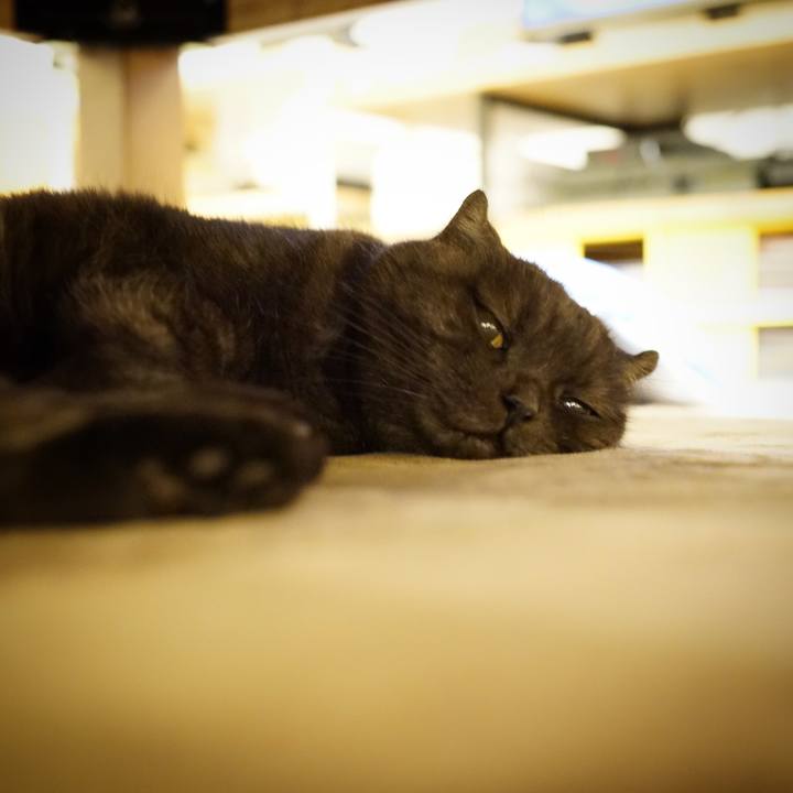 6234eb16 acdf 4189 8b21 734dc07cc637 1630510638788