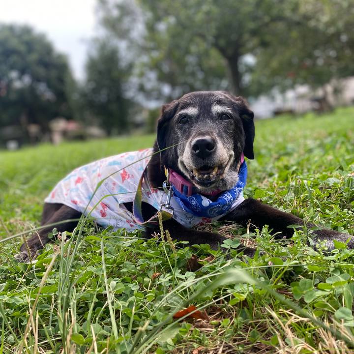 6234eb6b 6e5f 43de a060 a034aee62b02 1753372378594