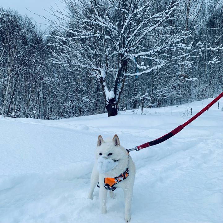 6234fbe0 b09e 481f 974b 215e0d8c7cc0 1670798119603