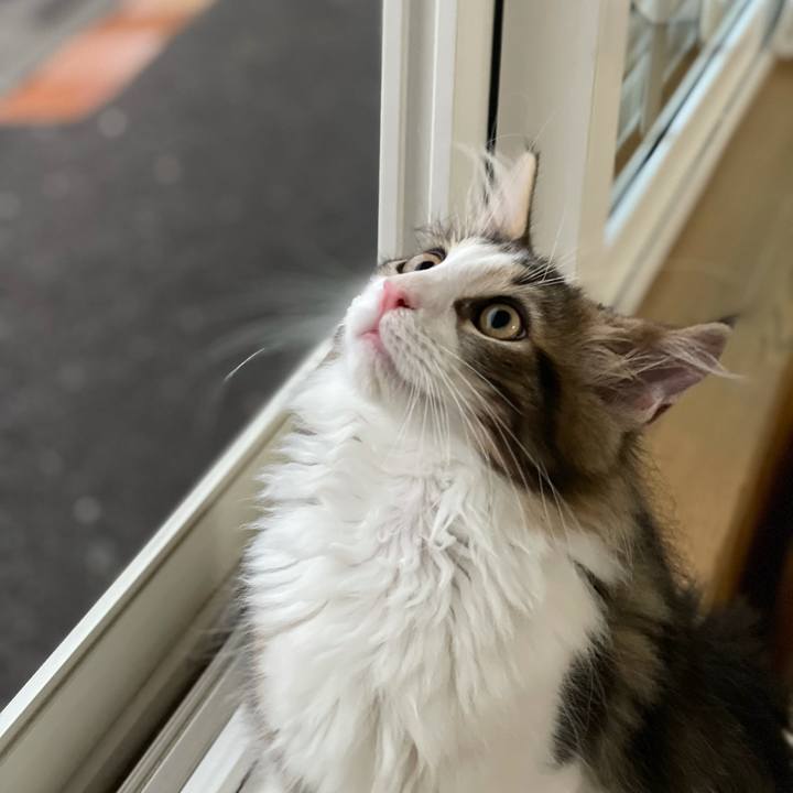 62351186 b605 460d a0d4 7a7540ef8d69 1632949011494