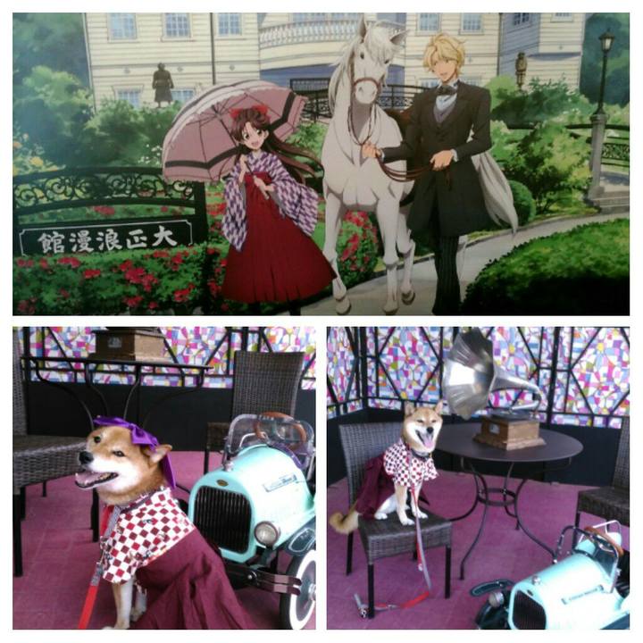 62352845 d53a 4798 b6c5 2a04edf8fa0a 1565183891805