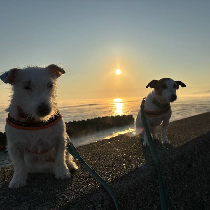 62353fe7 efbd 4320 a489 4853daa82996 1761779222849