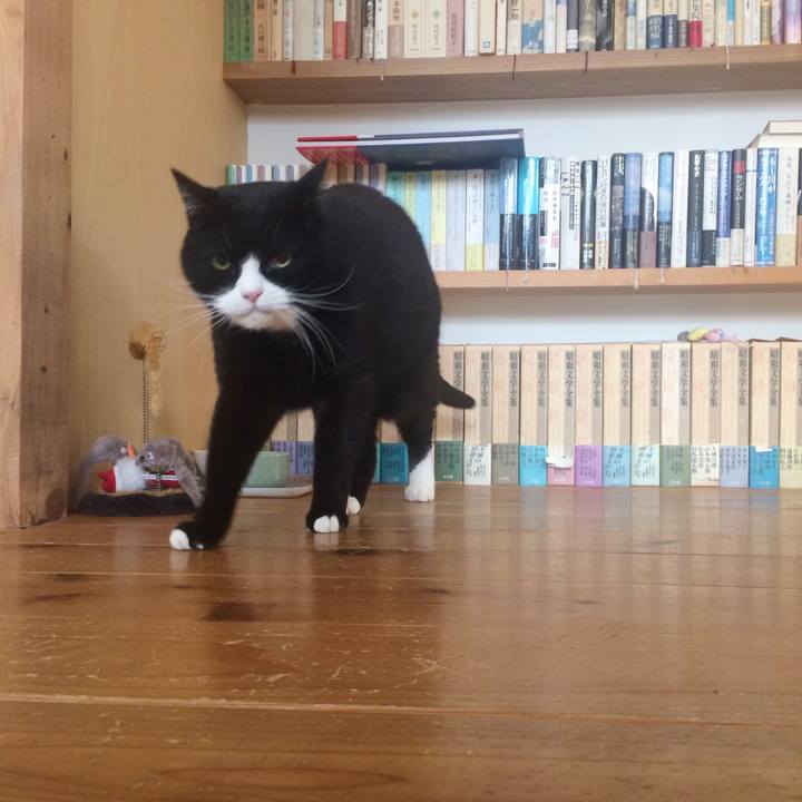 62356c31 64a5 4e16 8abf 182f3c680495 1517231771912