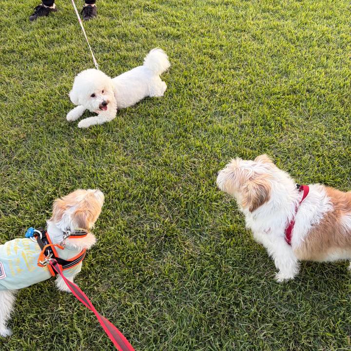 6235c501 8eb3 49af a13d c045fdd294b3 1758580605289