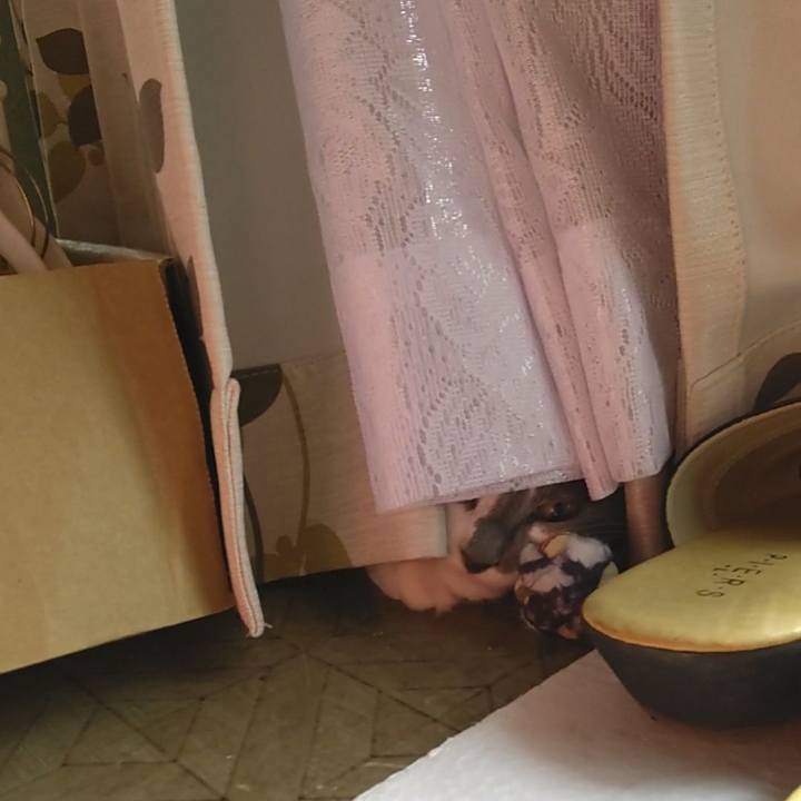 6235d537 b15a 476b 98b8 51836f668eeb 1573369329149