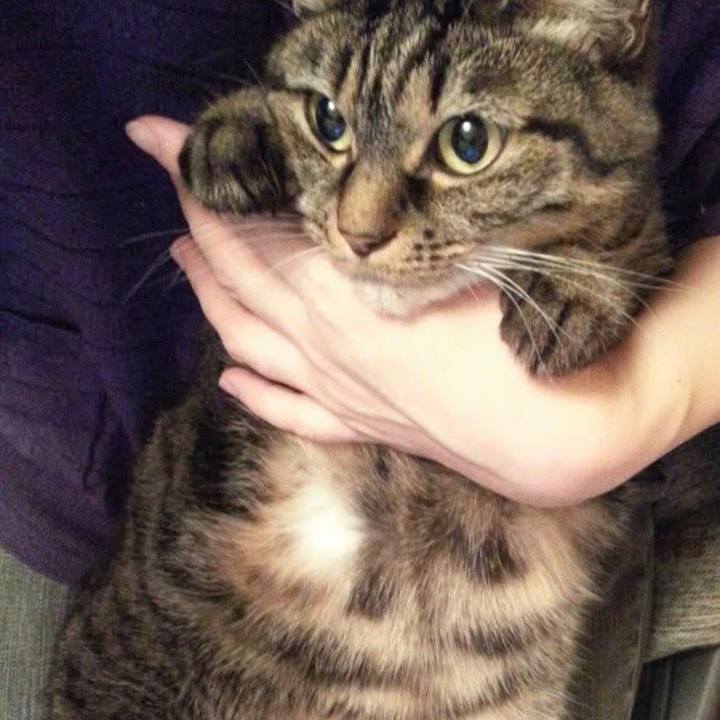 6235e95b d394 4303 bd13 e4a97c7ff9de 1761700311137