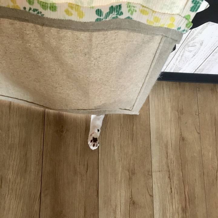 62360fb1 ad49 4416 9017 2038b83c2304 1564361446021