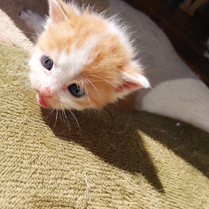 62366399 4cfb 429c b40b c56fb399e2a2 1634568369832