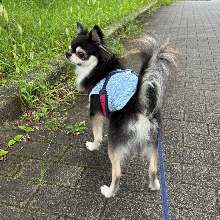 62368a4e 281c 4b14 aa82 a80b7af14037 1724513742294