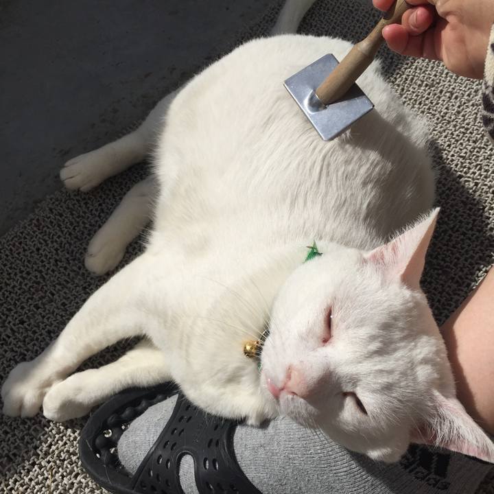 62368da7 7548 43fa bac0 4c8c3d0f577d 1556497374796