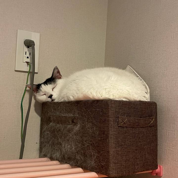 6236afb3 cb35 4df1 af34 c8ec06355c08 1740440296915