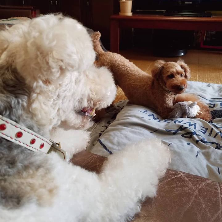 6236b51c 6361 4851 b563 993afd588cb6 1569416452806