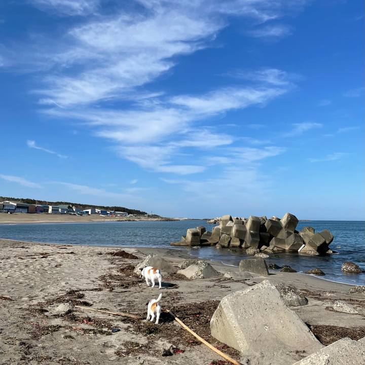 6236c887 c3aa 4ce1 9d6d 799a048da8c1 1620257191611